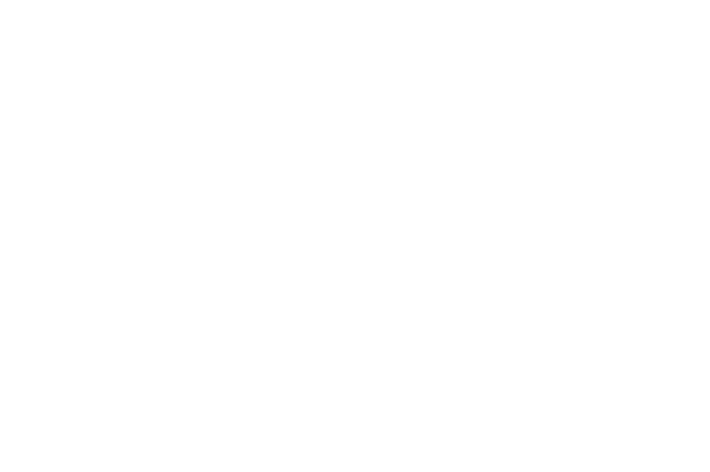 Blue Chip Advisory